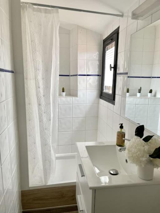 Sous Les Toits Tres Bien Place Et Climatise Apartment Montpellier